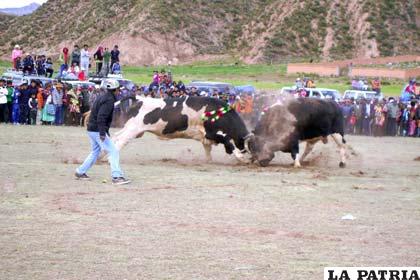La corrida de toros es característica en San Pedro de Totora