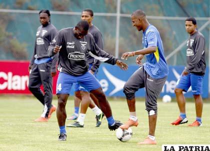 Los ecuatorianos aguardan con todo al combinado boliviano (foto: APG)