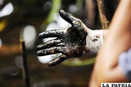 Presidente de Ecuador, Rafael Correa, anunció inicio de la campaña “La mano negra de Chevron”