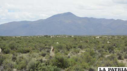 Paisaje del altiplano de Escara Qhamacha