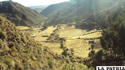 Terrazas agrícolas precolombinas ubicadas en Nor Carangas