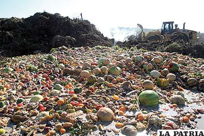 Millones de toneladas de alimentos se desperdician cada día en el Mundo 