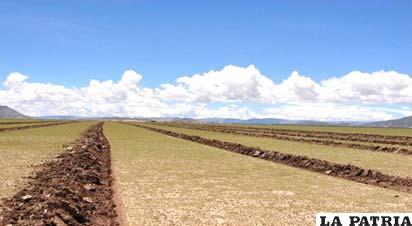 Se requiere de maquinaría agrícola para abrir zanjas de infiltración