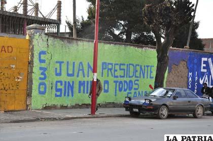 Agrupaciones políticas pintaron muros de entidades públicas