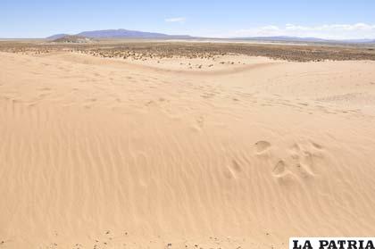 Dunas de arena