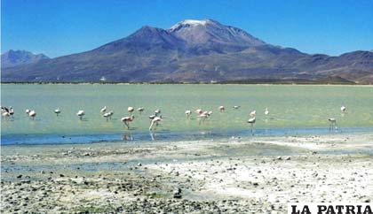Laguna Macaya