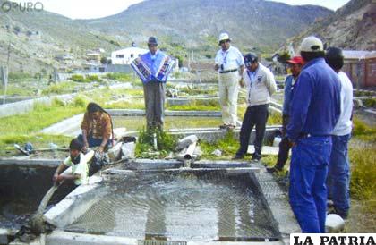 Un criadero de trucha de la región