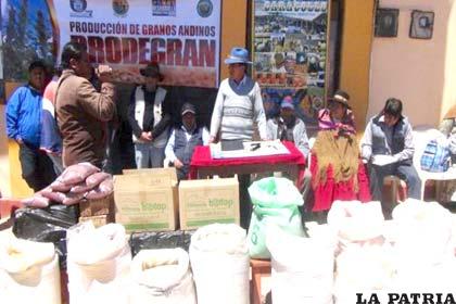 Acto de entrega de semillas de quinua a productores de Caracollo