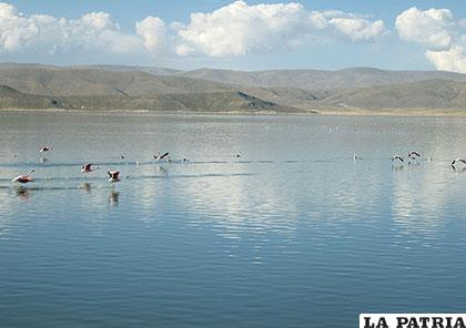 El lago Poopó y su belleza natural