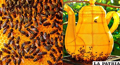 Las abejas tienen fama de trabajadoras e incansables