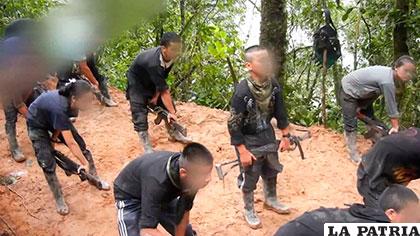 Niños víctimas de las FARC /cdn01.am.infobae.co