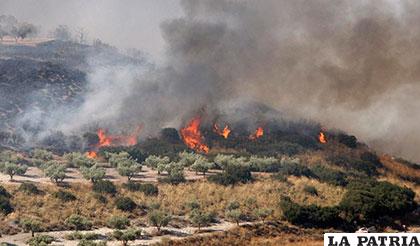 El incendio creció rápidamente debido a las rachas de viento /cx1hlnoticias.blogspot.com