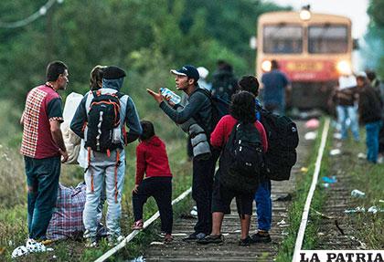 Refugiados pretenden ingresar a Hungría a pesar del control /lacorrea.com.ve