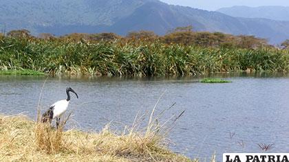 El lago está ubicado entre Kenia, Uganda y Tanzania