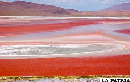 Laguna Colorada, uno de los mayores atractivos del altiplano boliviano /ANF