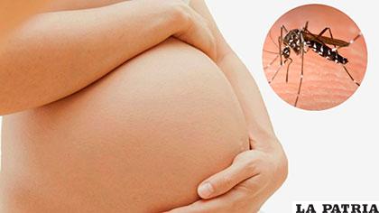 6.903 casos confirmados de contagios de zika en embarazadas /uvnimg.com