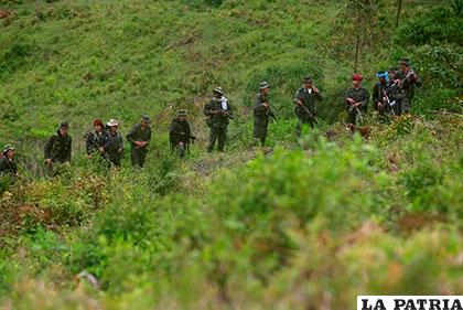 Miembros de las Fuerzas Armadas Revolucionarias de Colombia /lapatilla.com