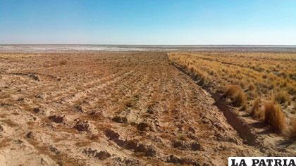 La sequía en el altiplano boliviano afectó a gran parte del occidente del departamento