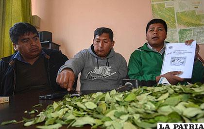 Dirigentes de los productores de coca piden erradicación forzosa en las zonas que no son autorizadas /APG