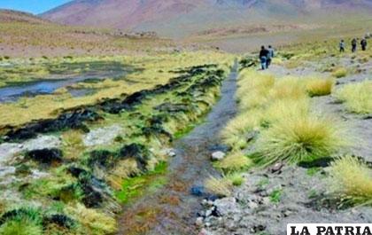 Manatiales del Silala /El Potosí