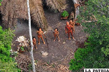 Pueblos indígenas de Brasil se ven amenazados por intereses de terceros /survivalinternational.org