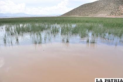 Municipios de las cuencas del lago Poopó y Uru Uru son los más afectados