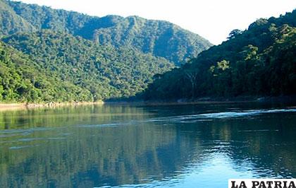 Parque nacional Madidi está en la zona cercana a las dos represas previstas /ANF
