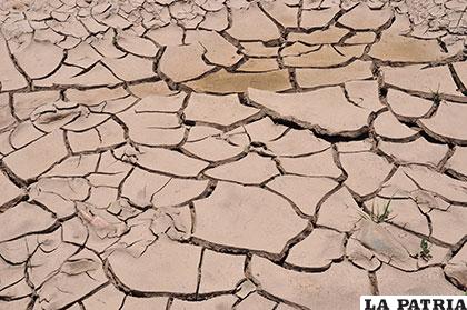 Consecuencias de la sequía /Archivo