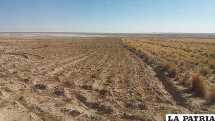 Se apunta a mejorar la producción, empleando nuevas innovaciones de carácter técnico