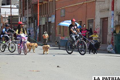 Ciclistas no desaprovecharon el Día del Peatón para hacer pasear a sus mascotas