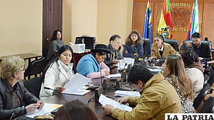 Comisión Mixta de la Asamblea Legislativa Plurinacional /Diputados

