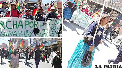 Marcha de los Yungas demanda de respeto a la coca /ERBOL