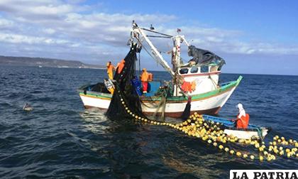 Se busca definir de forma precisa actividades consideradas como pesca ilegal, no declarada y no reglamentada / Contacto Hoy