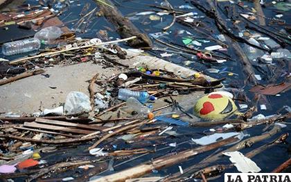 El organismo internacional calcula que en el año 2050 habrá más plásticos que peces en los océanos/ midiario.com