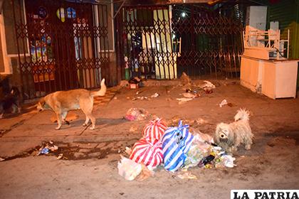 Los canes destrozan la basura que se deja en las ferias