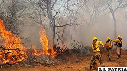 Incendios forestales en la Chiquitanía ya afectaron una gran superficie /Min. Defensa