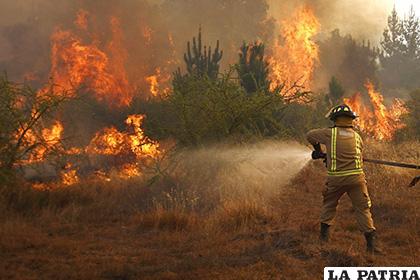 Incendio activo en el Sur de Ecuador consume más de mil hectáreas de bosque /NOTICIAS SIN