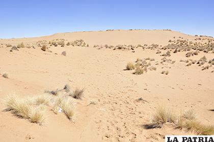 Los arenales de Cochiraya son considerados como una de las 16 áreas protegidas de Oruro /LA PATRIA /ARCHIVO