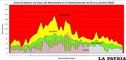 Canal endémico de neumonías en Oruro /Sedes