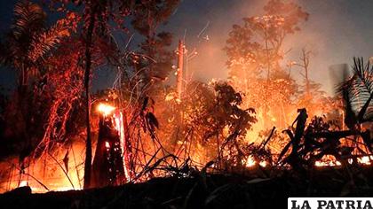 Un incendio en la floresta en la ciudad de Porto Velho (Brasil) /EFE