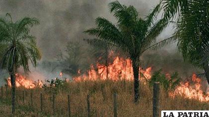 Hasta el 15 de septiembre, la superficie quemada por los incendios forestales en Santa Cruz llegó a 3 millones de hectáreas /exitonoticias.com.bo
