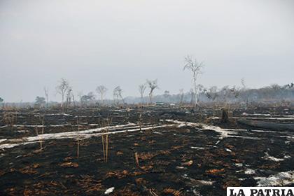 Los devastadores incendios forestales arrasaron con la Chiquitanía /muywaso.com