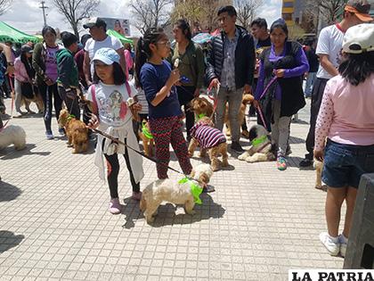 Participantes en el concurso de comelones /LA PATRIA