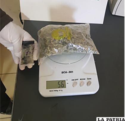 La sustancia dio positivo para marihuana y luego se procedió al pesaje respectivo /LA PATRIA

