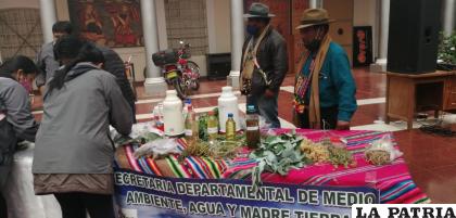 La exposición de las plantas se realizó ayer en el hall de la gobernación /Gad-Oru