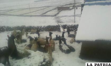 Huari es el municipio donde cayó mayor cantidad de nevada /UGR
