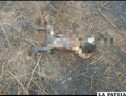 El bebé fue encontrado en una zona alejada sin vida /RR.SS.
