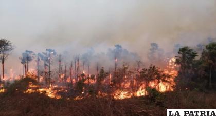Se deberá tomar acciones inmediatas, caso contrario los incendios pueden desbordarse