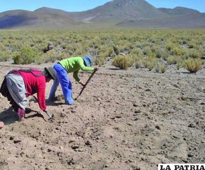 Las lluvias servirán para la producción agrícola