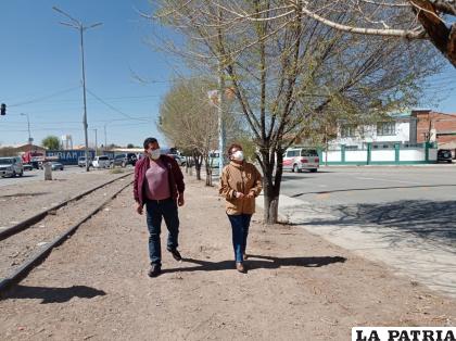 Preocupación por el estado de los árboles en la avenida Héroes del Chaco